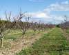 εικόνα ακινήτου