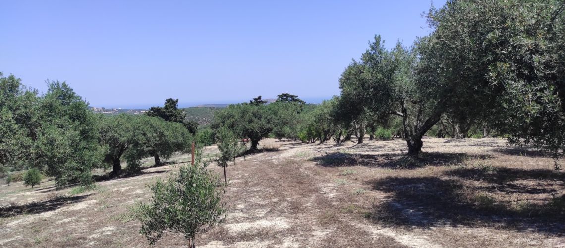 Πωλείται στους Κουνάβους οικόπεδο Ηράκλειο Κρήτης REAL ESTATE CRETE For sale plot Kounavi Heraklion Crete πωλήσεις ακινήτων ΚΡΗΤΗ εικόνα ακινήτου