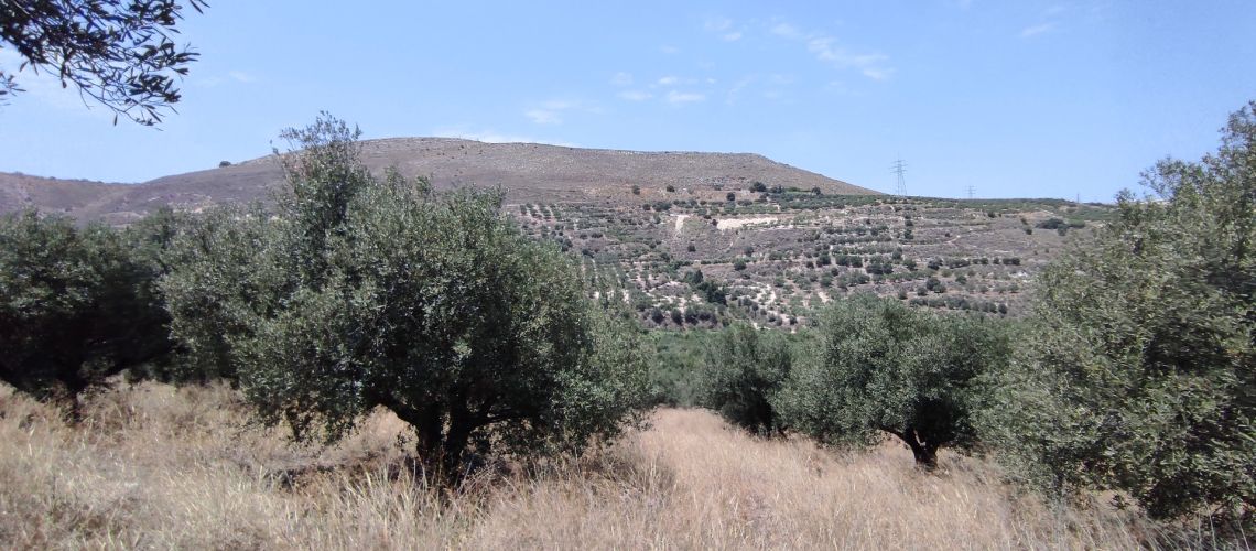 Πωλείται αγροτεμάχιο Πρασσά Ηράκλειο Κρήτης For sale parcel Prassa Heraklion Crete ΠΩΛΕΙΤΑΙ ΑΓΡΟΤΕΜΑΧΙΟ ΕΥΚΑΙΡΙΑ εικόνα ακινήτου