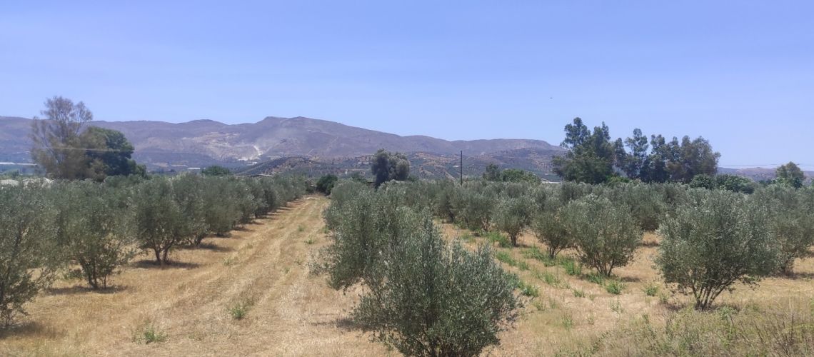 Πωλείται οικόπεδο εθνική οδό Τυμπακίου Ηρακλείου Κρήτης For sale plot national road, Timpaki-Heraklion, Crete ΕΜΠΟΡΙΚΟ ΟΙΚΟΠΕΔΟ COMMERCIAL PLOT FOR SALE CRETE εικόνα ακινήτου