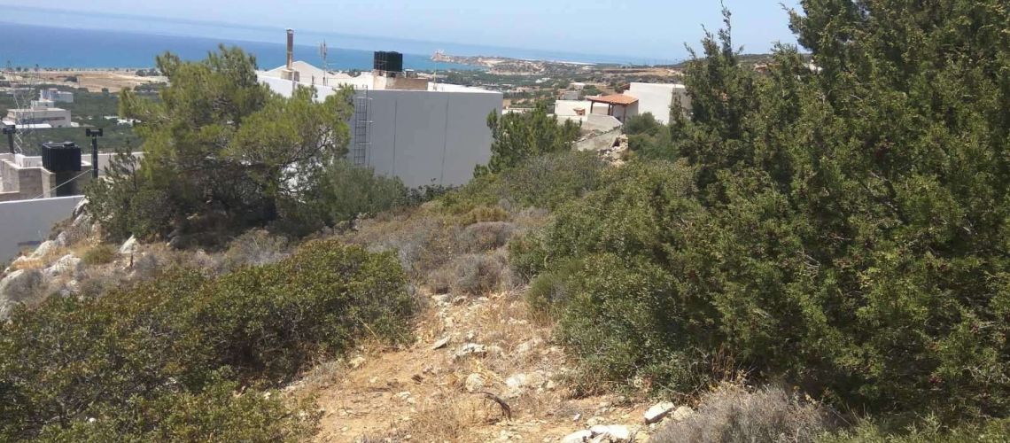 πωλείται οικόπεδο Κουτσουνάρι Ιεράπετρας Κρήτης plot of land for sale in Koutsounari,Ierapetra crete εικόνα ακινήτου