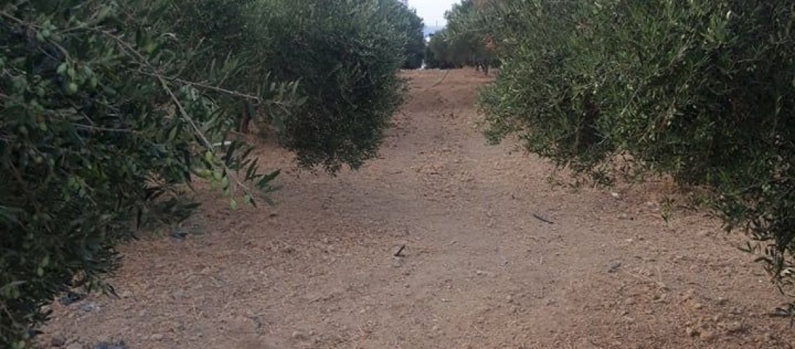 Πωλείται μοναδικό γωνιακό οικόπεδο με θέα θάλασσα Αμμουδάρα Γαζίου A unique corner plot for sale with sea view Ammoudara Gaziou εικόνα ακινήτου