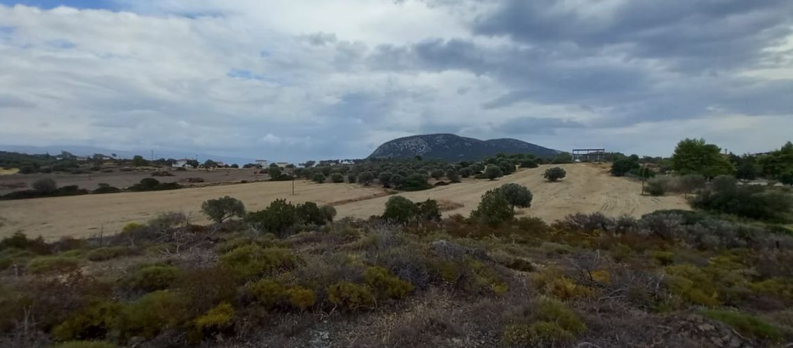 Αγροτεμάχιο 31 στρεμμάτων στην Ερμιόνη Αργολίδας Plot of land of 31 acres in Ermioni Argolida εικόνα ακινήτου