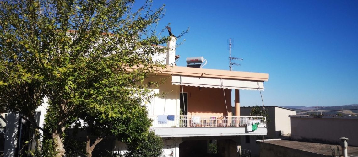 Πώληση Μονοκατοικίας κέντρο Λιβαδειά Detached house for sale, center of Livadia εικόνα ακινήτου