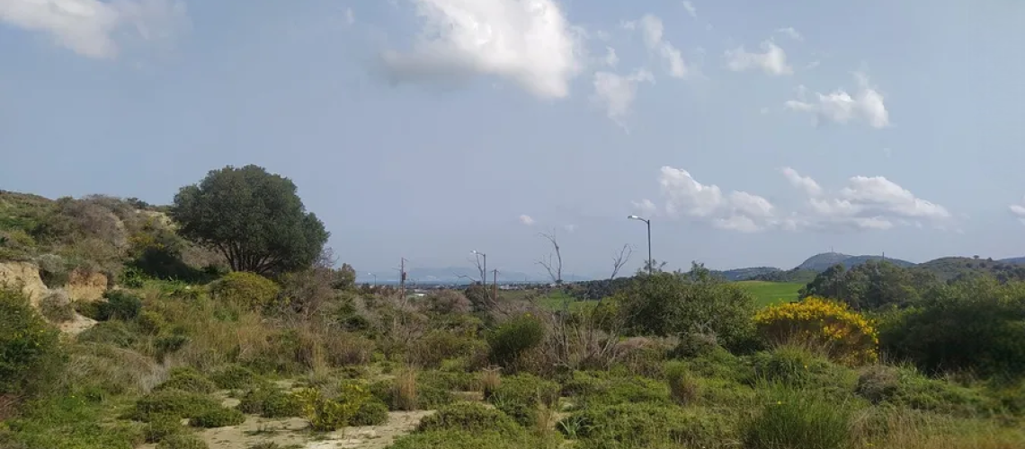Αγροτεμάχιο προς πώληση Ηρακλείδες Κως Plot of land for sale Iraklides Kos εικόνα ακινήτου