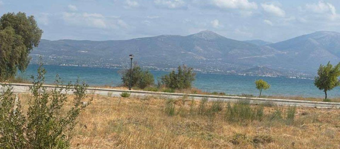 Πώληση οικοπέδου Άγιος Κωνσταντίνος Ωρωπός Land for sale Saint Konstantinos Oropos εικόνα ακινήτου