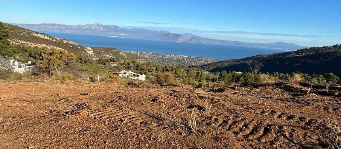 ΠΩΛΗΣΗ ΟΙΚΟΠΕΔΟΥ ΣΤΟ ΜΕΤΟΧΙ ΡΗ ΚΑΠΑΝΔΡΙΤΙΟΥ 5 ΣΤΡΕΜΜΑΤΑ SALE OF LAND IN METOCHI RI KAPANDRITIO 5 ACRES εικόνα ακινήτου