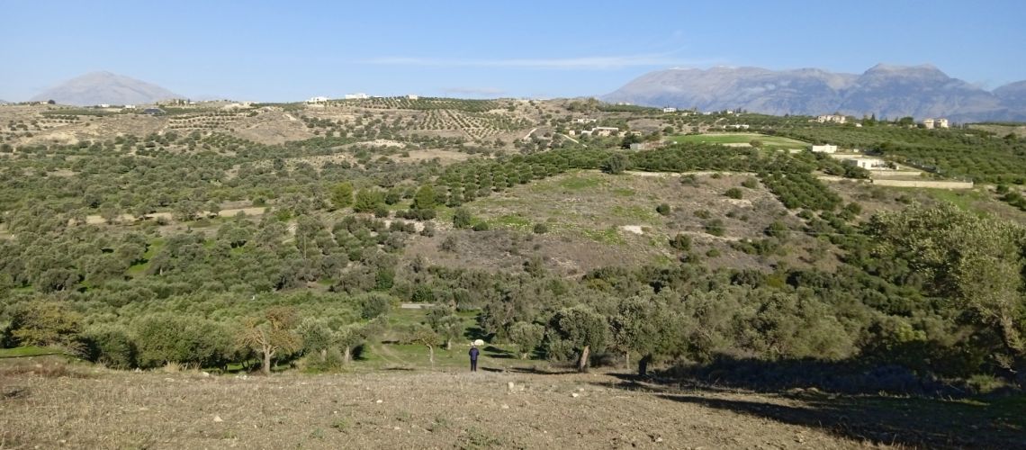 Αγροτεμάχιο πλησίον πλατείας Πιτσίδια - κοντά στα Μάταλα - τουριστικό ακίνητο Agricultural plot near Pitsidia square - near Matala - tourist property εικόνα ακινήτου