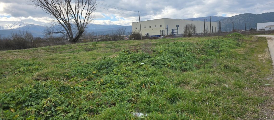 ΑΓΡΟΤΕΜΑΧΙΟ 4.843 τ.μ. ΓΙΑ ΕΠΑΓΓΕΛΜΑΤΙΚΗ ΧΡΗΣΗ ΙΩΑΝΝΙΝΑ PARCEL OF 4,843 sq.m. FOR PROFESSIONAL USE IOANNINA εικόνα ακινήτου