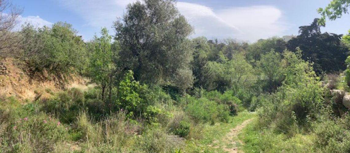 Πωλείται Νότιο Ατσιπόπουλο Ρέθυμνο διαμπερές οικόπεδο 1500τμ For sale South Atsipopoulo Rethymno bright plot of 1500 sq m εικόνα ακινήτου