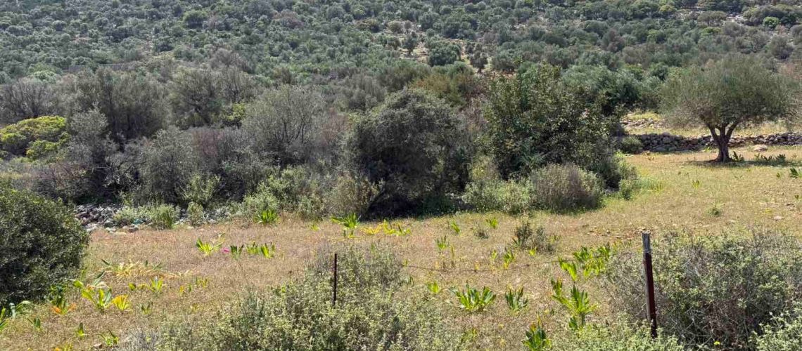 Πωλείται οικόπεδο με εκπληκτική θέα Άγιος Νικόλαος Κρήτη Plot for sale with stunning view Saint Nikolaos εικόνα ακινήτου