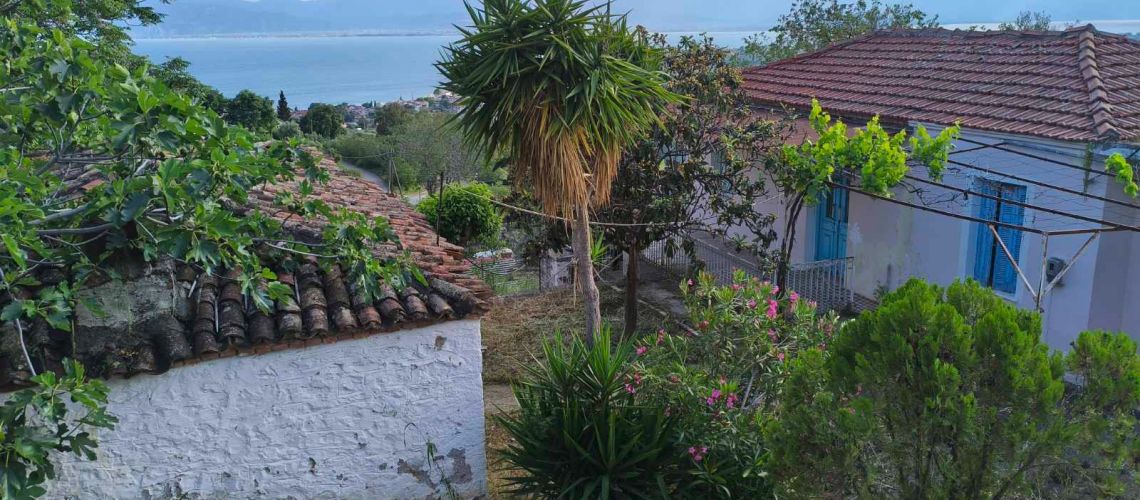 Πωλείται μονοκατοικία 100τμ Ράχες Φθιώτιδα Detached house 100sqm for sale Raches Fthiotida εικόνα ακινήτου
