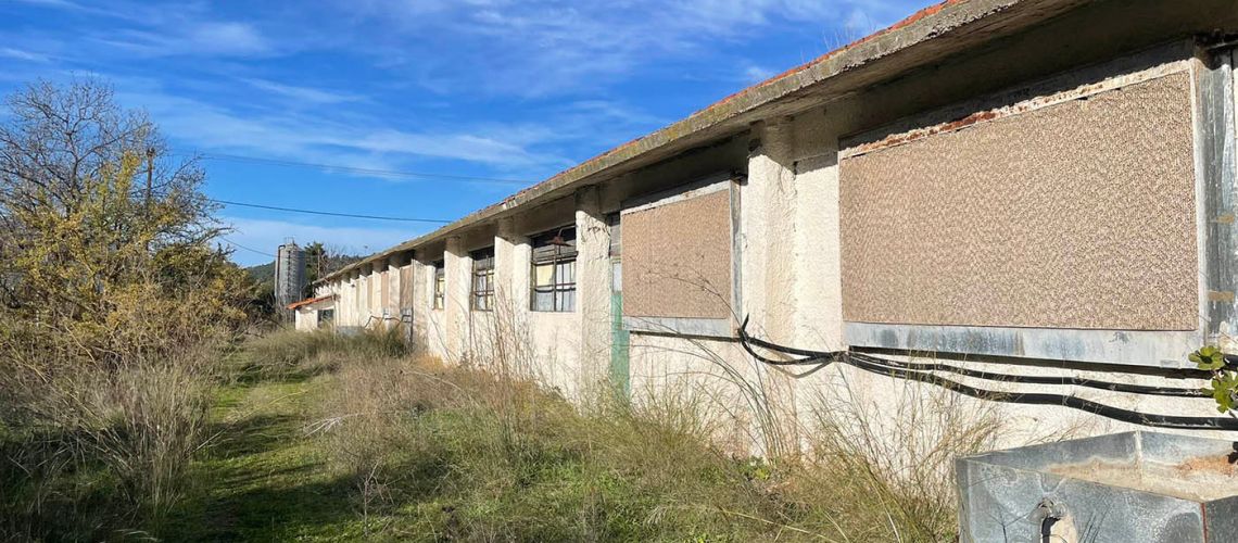 Μαλακάσα βιομηχανικό κτίριο 1200τμ - Malakasa, industrial building 1200 sq.m εικόνα ακινήτου