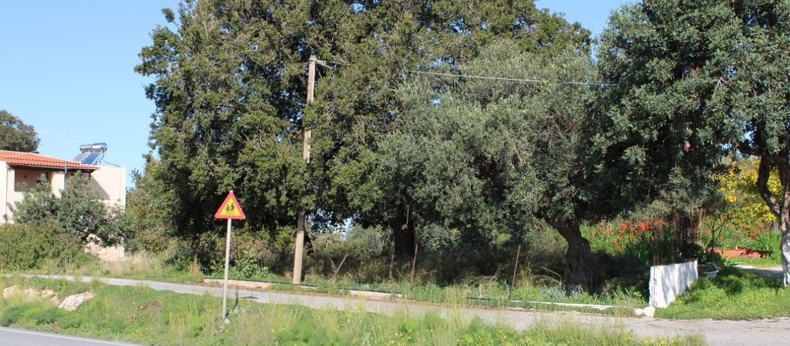 εικόνα ακινήτου