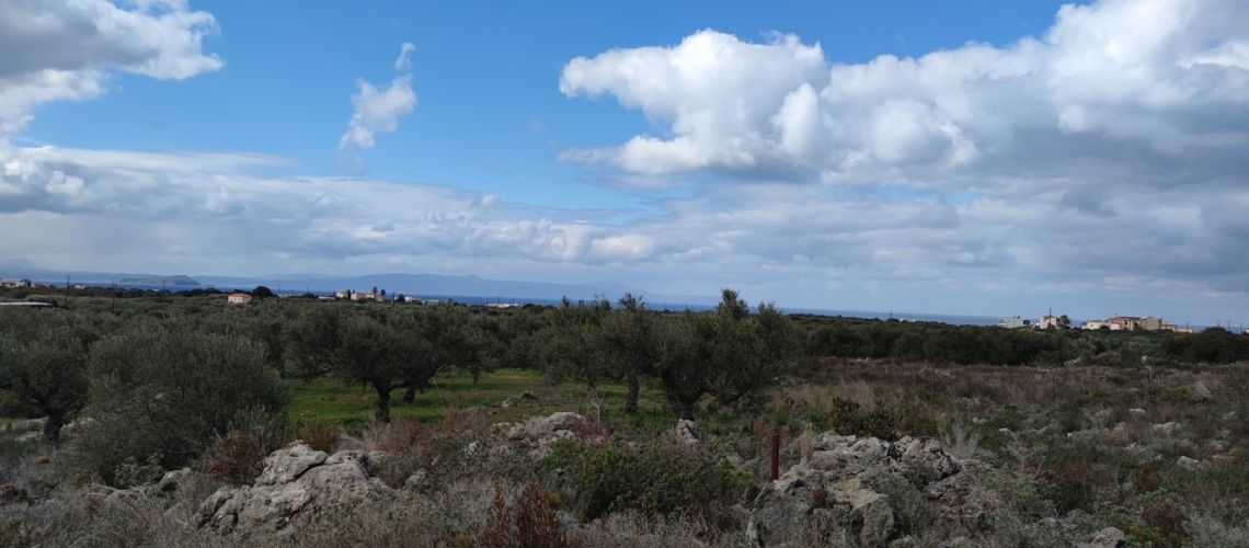 Πωλείται τεράστιο αγροτεμάχιο οικοδομήσιμο Χωραφάκια Πλατανιάς Χανιά Huge building plot for sale, Chorafakia, Platanias, Chania εικόνα ακινήτου