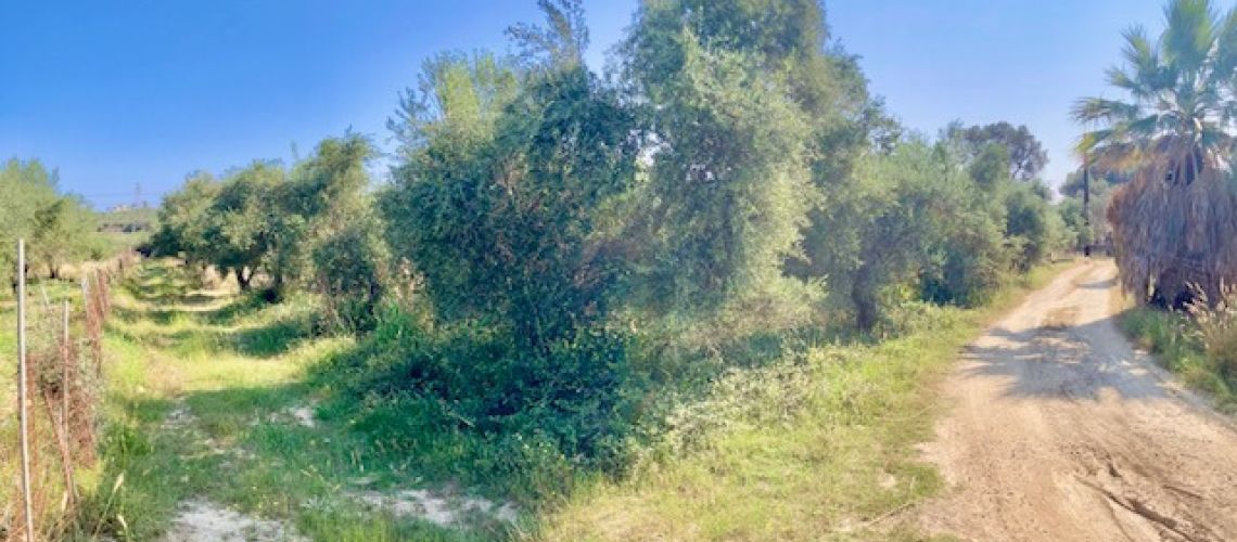 Πωλείται οικόπεδο εντός οικισμού 3.600τμ Πηγή Ρέθυμνο For sale Pigi Rethymno 3600sq.m. plot into the settlement εικόνα ακινήτου