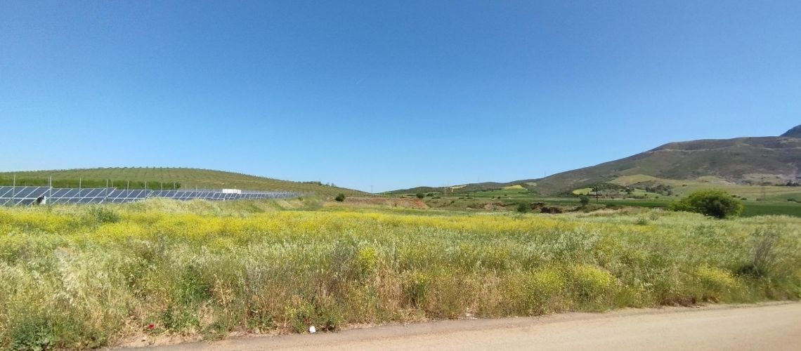 Πωλείται αγροτεμάχιο 12.173τμ, άρτιο και οικοδομήσιμο, κατάλληλο για ΦΒ και επαγγελματική χρήση Ύπατο Βοιωτία For sale a plot of land of 12,173 sq m, level and buildable, suitable for PV and professional use, Upper Boeotia εικόνα ακινήτου