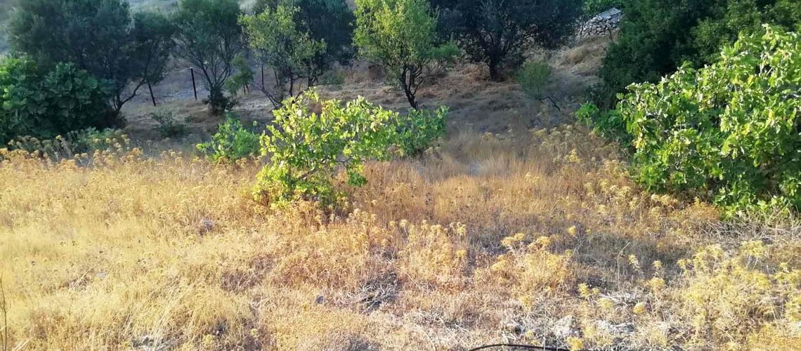 Πωλείται οικοδομήσιμο οικόπεδο Βασιλικιά Αγαθονησίου Buildable Plot In Vasilikia, Agathonisi For Sale εικόνα ακινήτου
