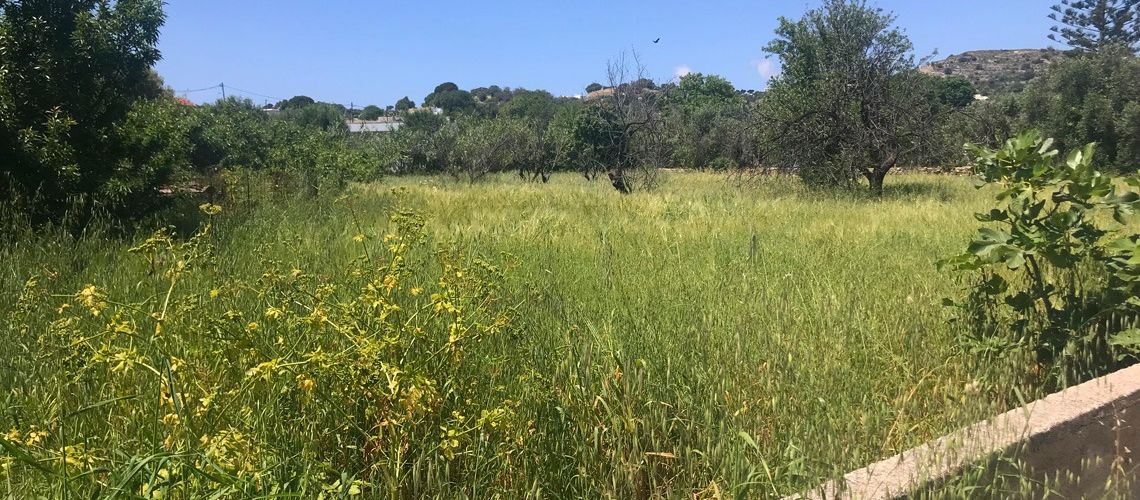 Πωλείται οικοδομήσιμο οικόπεδο Λακκί Λέρος Building plot for sale in Lakki, Leros εικόνα ακινήτου