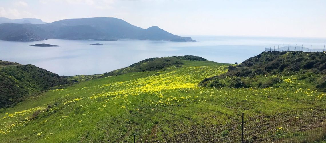Οικόπεδο προς πώληση στο Κατακρωτήρι Λέρου με πανοραμική θέα θάλασσα Plot for sale in Katakrotiri, Leros with panoramic sea view εικόνα ακινήτου