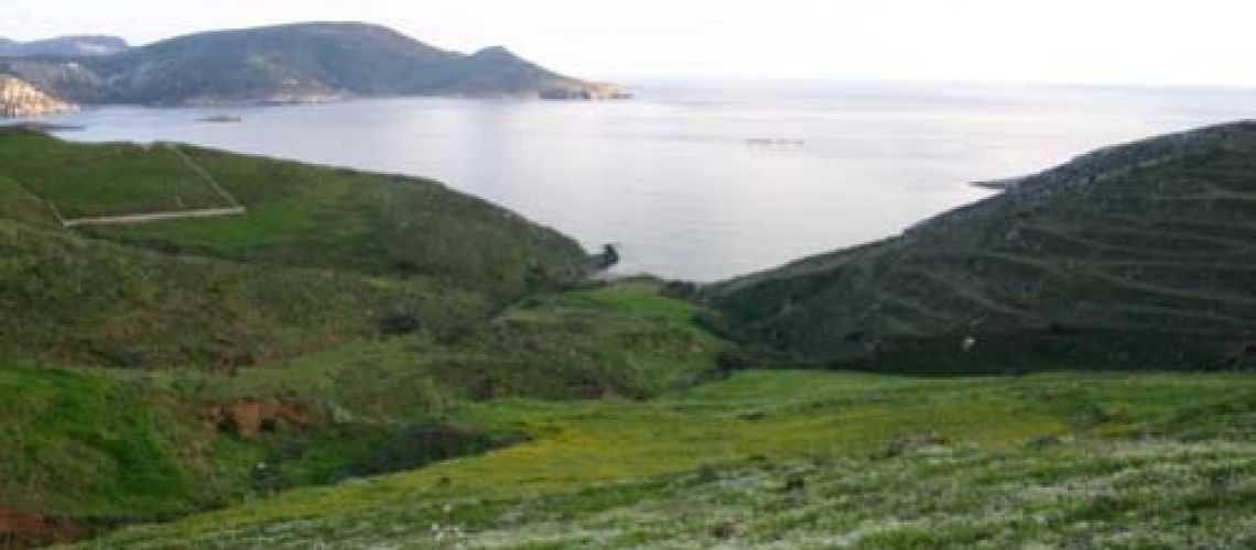 Πωλείται τεράστιο οικόπεδο με θέα θάλασσα και πρόσβαση σε παραλία Κατακρωτήρι Λέρος For sale huge plot of land for sale with sea view and beach access Katakrotiri Leros εικόνα ακινήτου