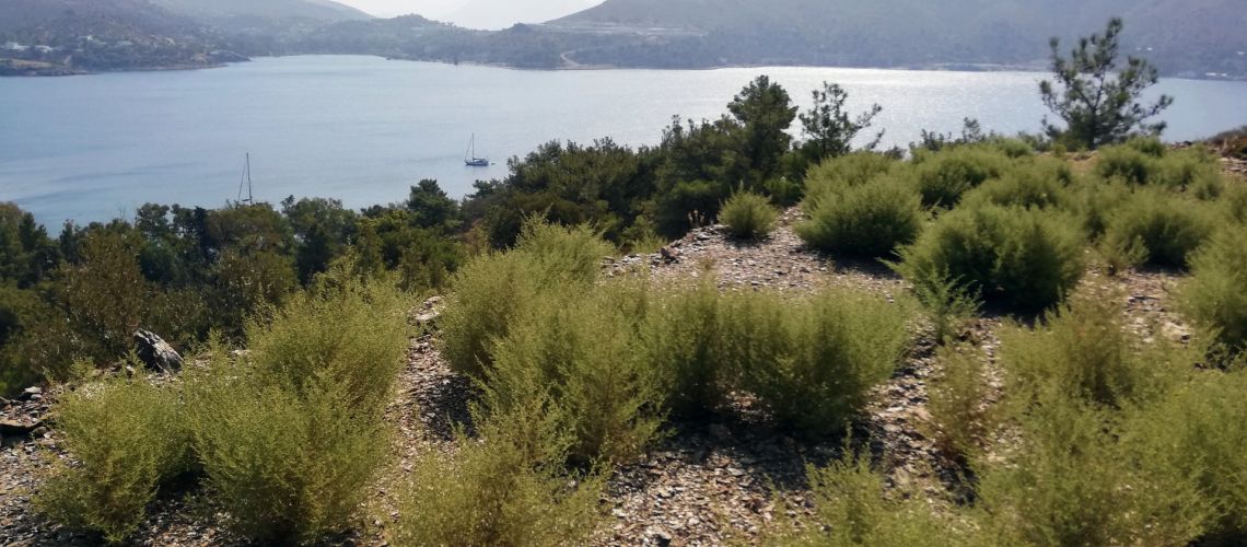 Πωλείται οικόπεδο με φανταστική θέα στον κόλπο Λακκίου στη Λέρο Plot for sale with fantastic view of Lakki Bay in Leros εικόνα ακινήτου