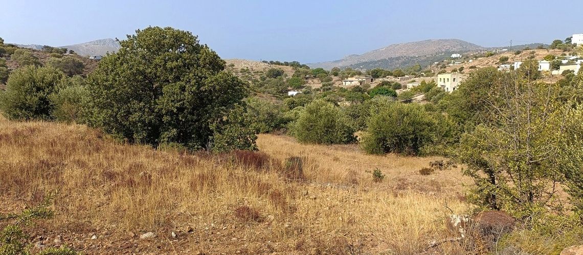 Πωλούνται οικοδομήσιμα οικόπεδα Τεμένια Λέρου Building Plots for Sale in the Temenia Leros εικόνα ακινήτου