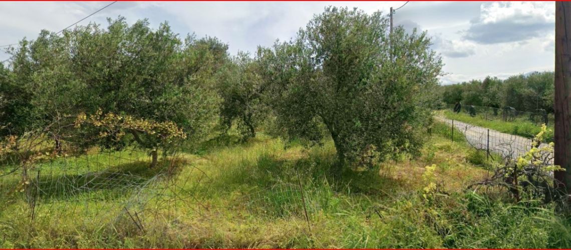 Πωλείται οικόπεδο Κολυβάς Γάζι Ηράκλειο Κρήτης Land for sale in Kolivas Gazi, Heraklion, Crete εικόνα ακινήτου