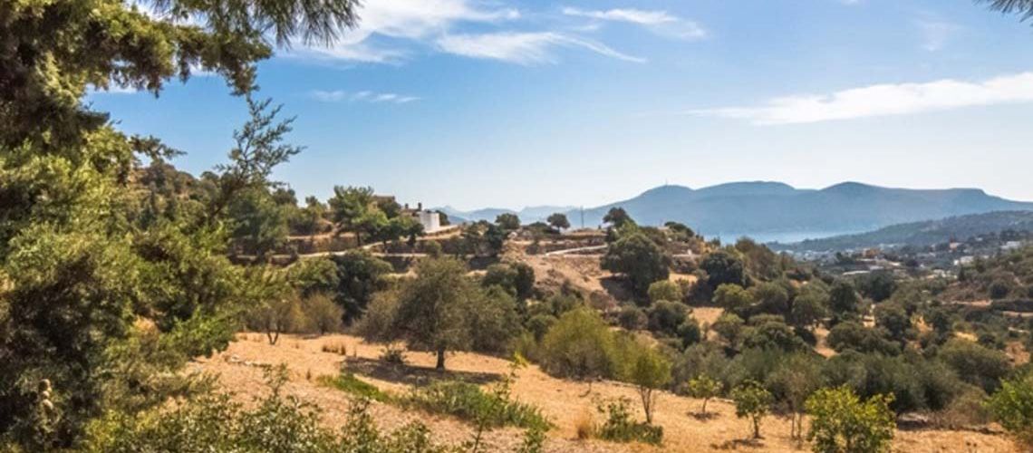 Πωλείται οικόπεδο σε ήσυχη και καταπράσινη περιοχή με θέα θάλασσα Ράχη Λέρο Land for sale in a quiet and green area with sea view in Rachi, Leros εικόνα ακινήτου