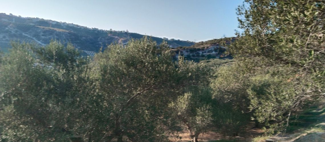 Πωλείται οικόπεδο οικοδομήσιμο Σταυράκια -Δαφνές Ηράκλειο Κρήτης εικόνα ακινήτου