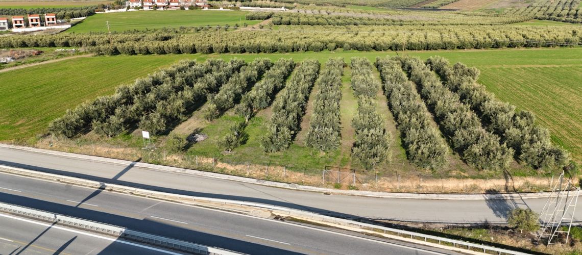 εικόνα ακινήτου
