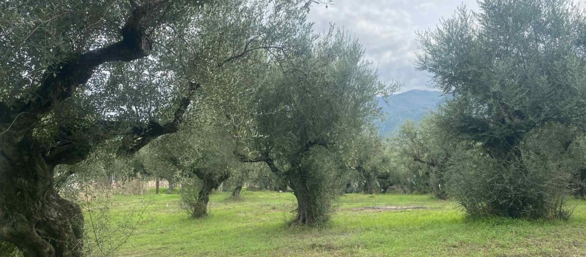 εικόνα ακινήτου