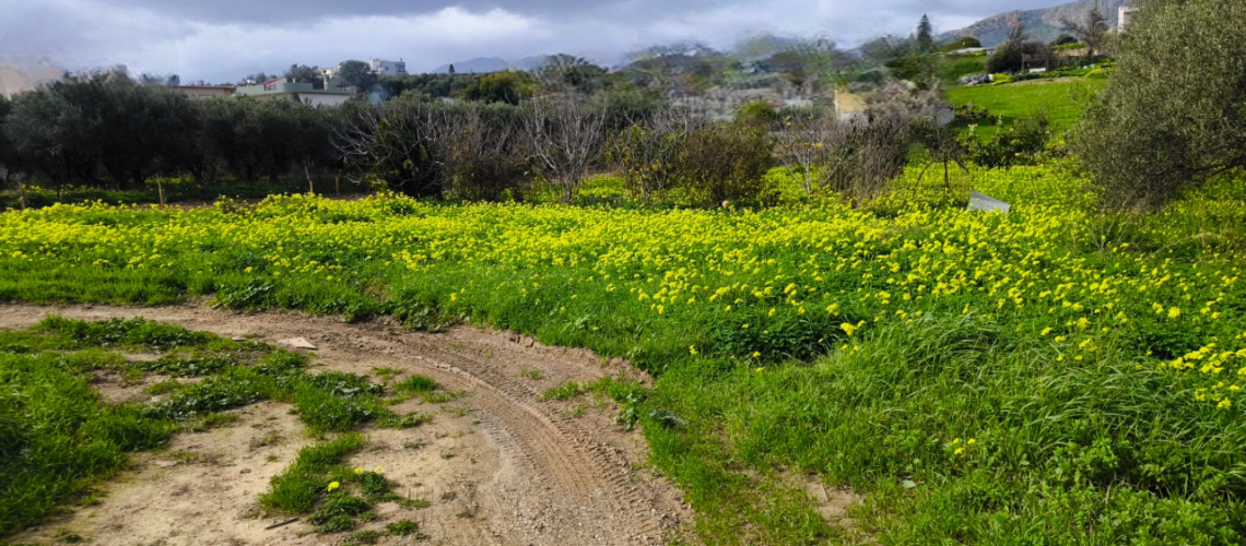εικόνα ακινήτου