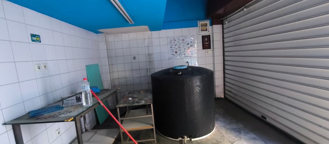 εικόνα ακινήτου