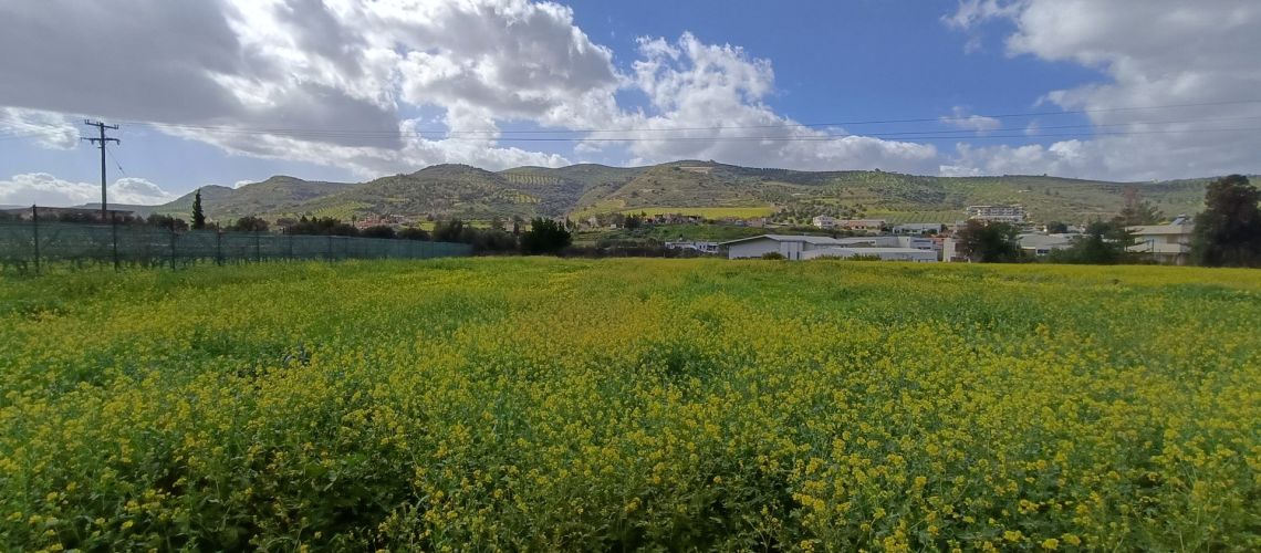 εικόνα ακινήτου