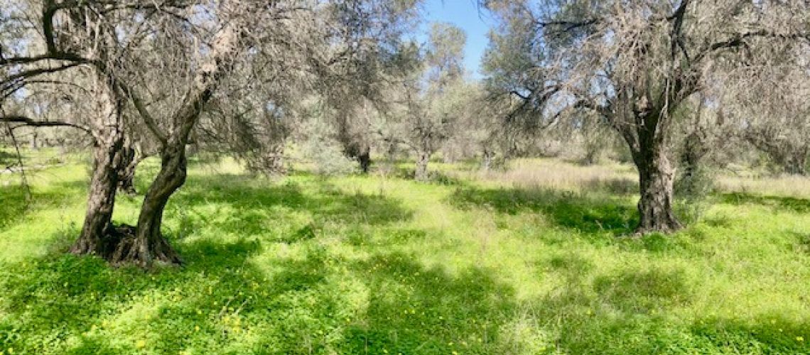 εικόνα ακινήτου