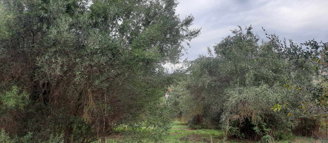 εικόνα ακινήτου