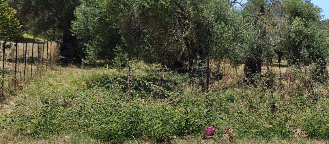 εικόνα ακινήτου