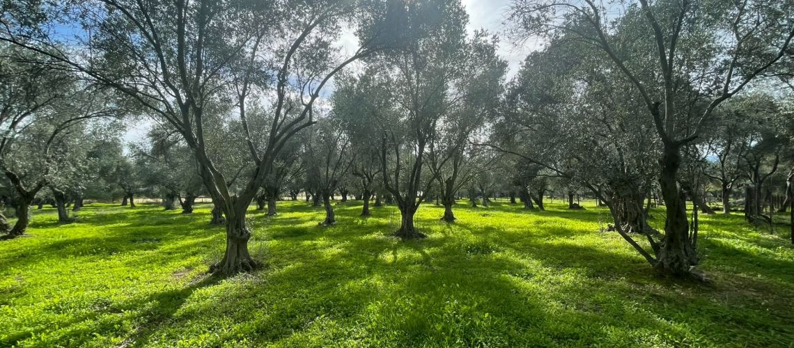 εικόνα ακινήτου