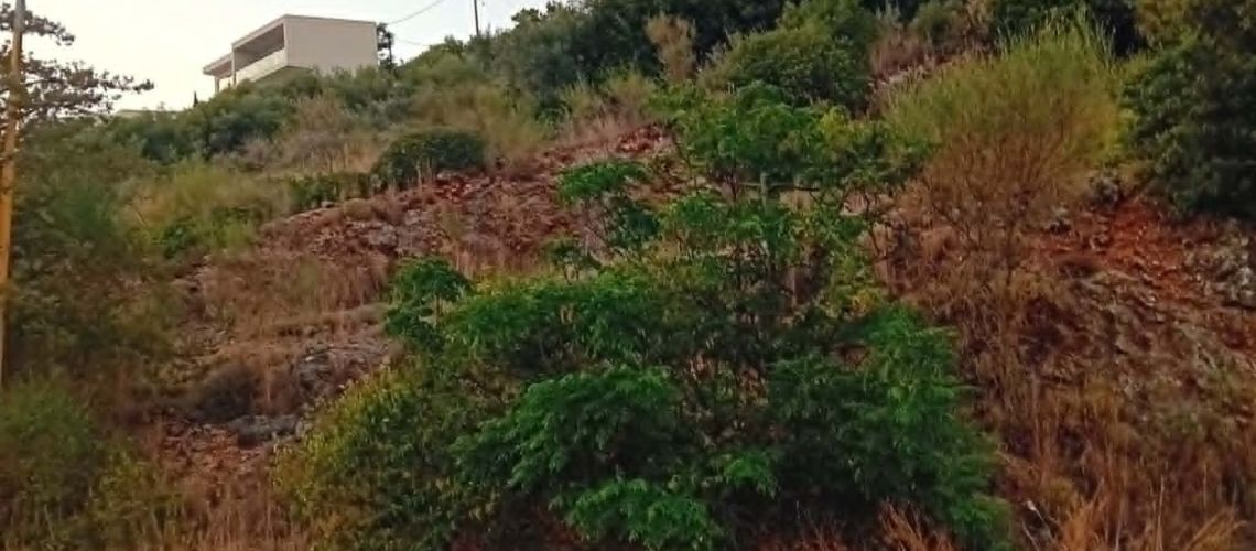 εικόνα ακινήτου
