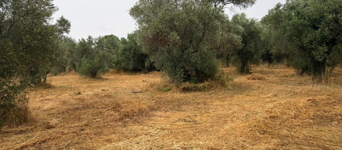 εικόνα ακινήτου