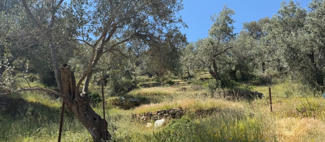 εικόνα ακινήτου