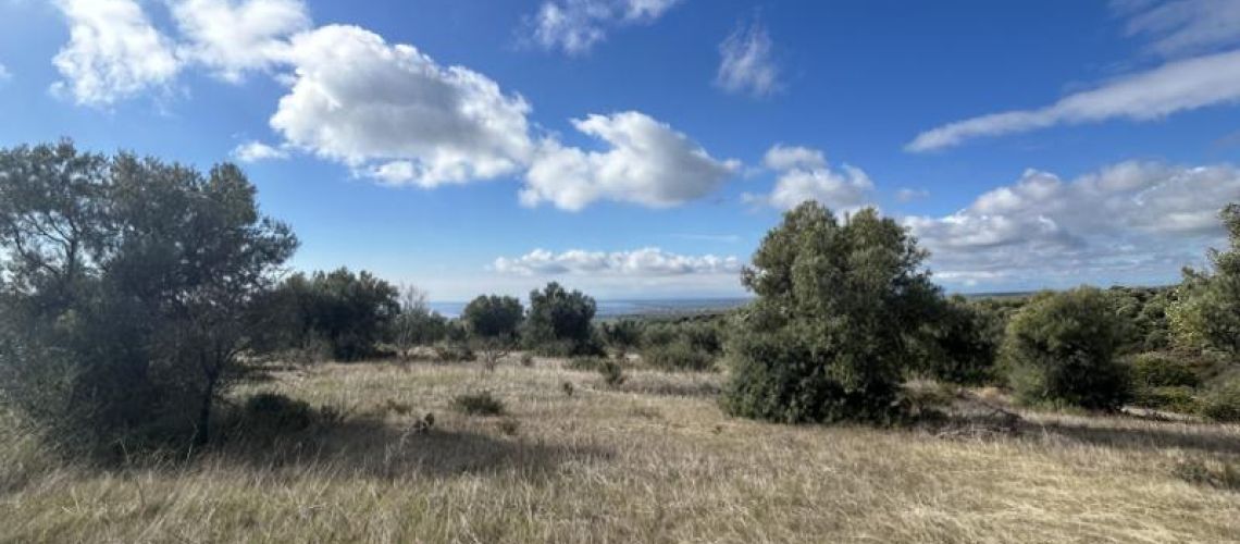 εικόνα ακινήτου