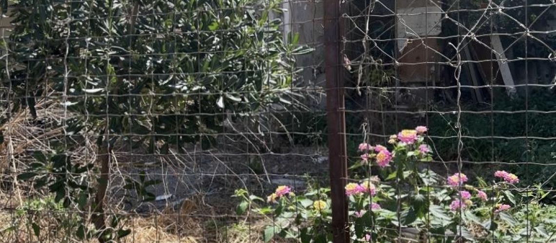 εικόνα ακινήτου