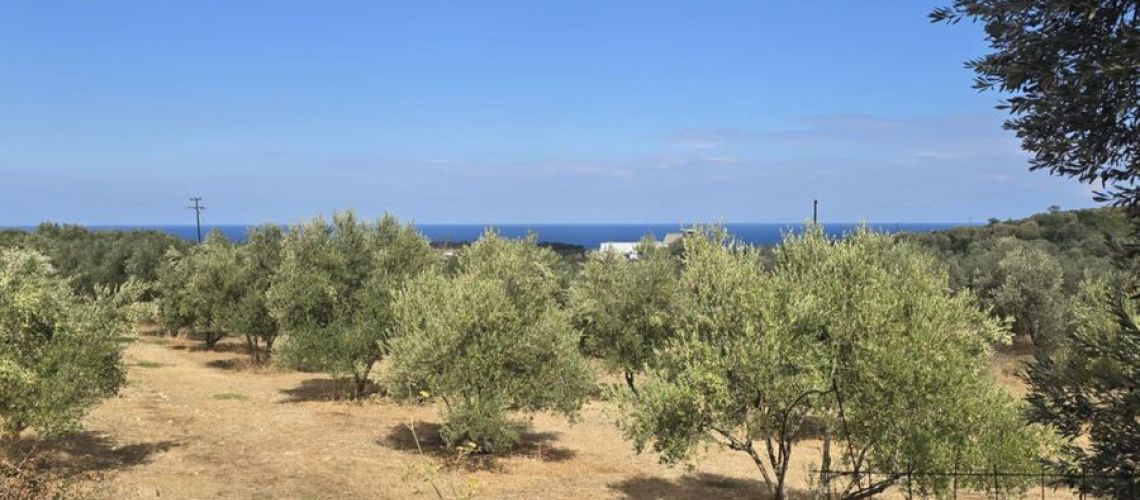εικόνα ακινήτου