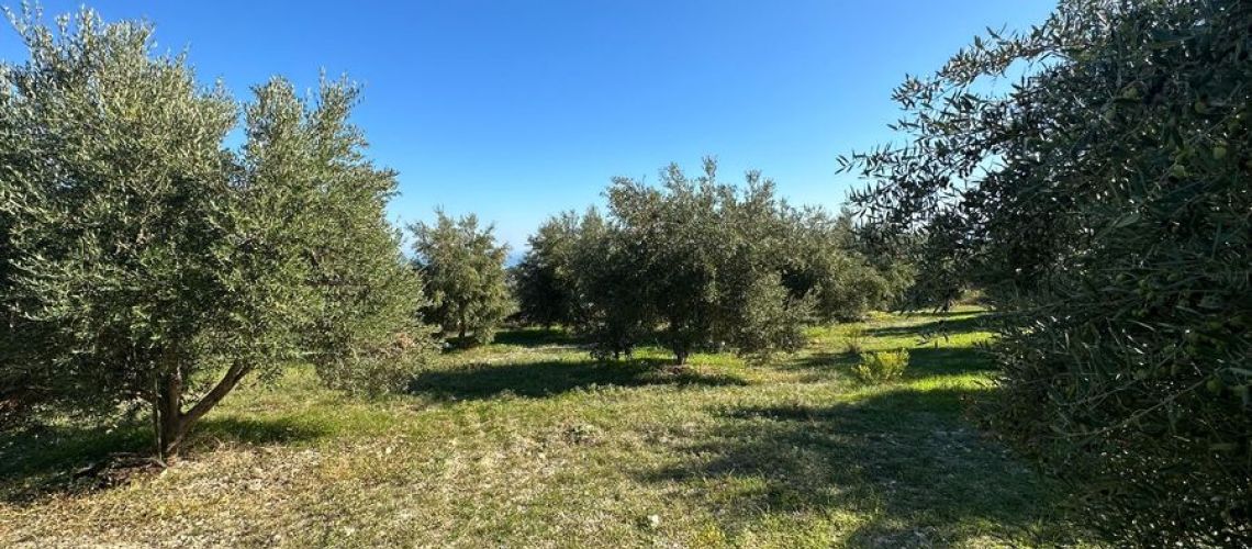 εικόνα ακινήτου