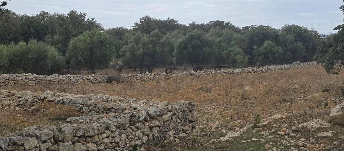 εικόνα ακινήτου