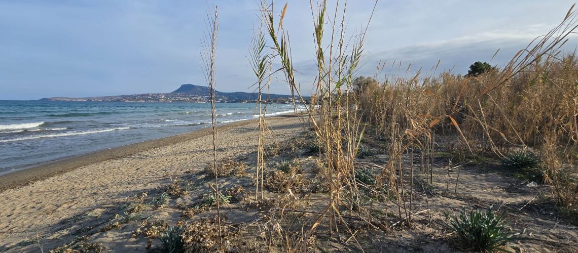 εικόνα ακινήτου
