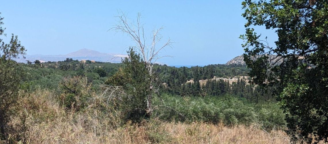εικόνα ακινήτου