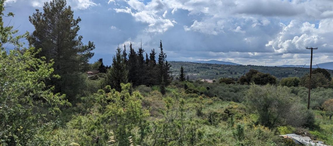 εικόνα ακινήτου